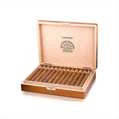 Xì gà H. Upmann Sir Winston