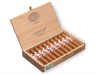 La Flor de Cano Mágicos Cigar (Ex. España 2020)