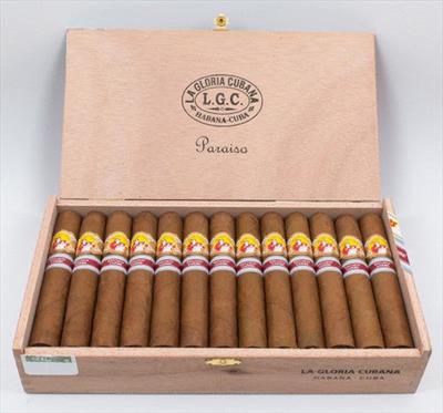 La Gloria Cubana Paraiso Cigar (Ex. Caribe 2014)